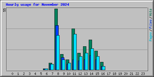 Hourly usage for November 2024