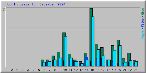 Hourly usage for December 2024