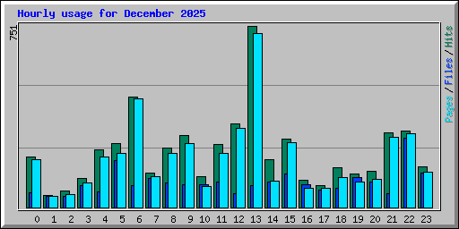Hourly usage for December 2025