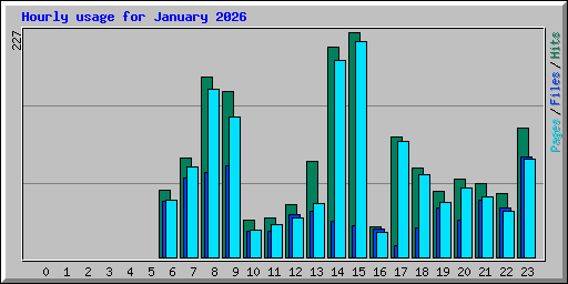 Hourly usage for January 2026