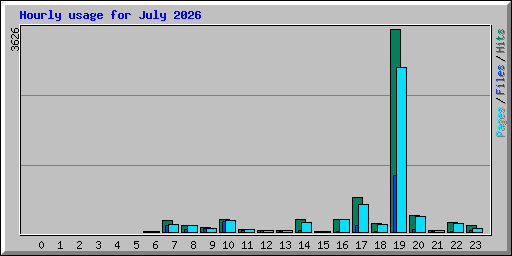 Hourly usage for July 2026